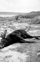 Moose Hunt 29G.JPG
